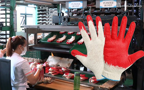 Protective-Gloves-Separator