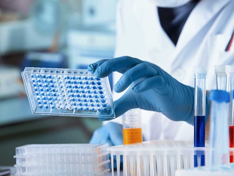 Environmentally Friendly Properties of Synthetic Wax Emulsions