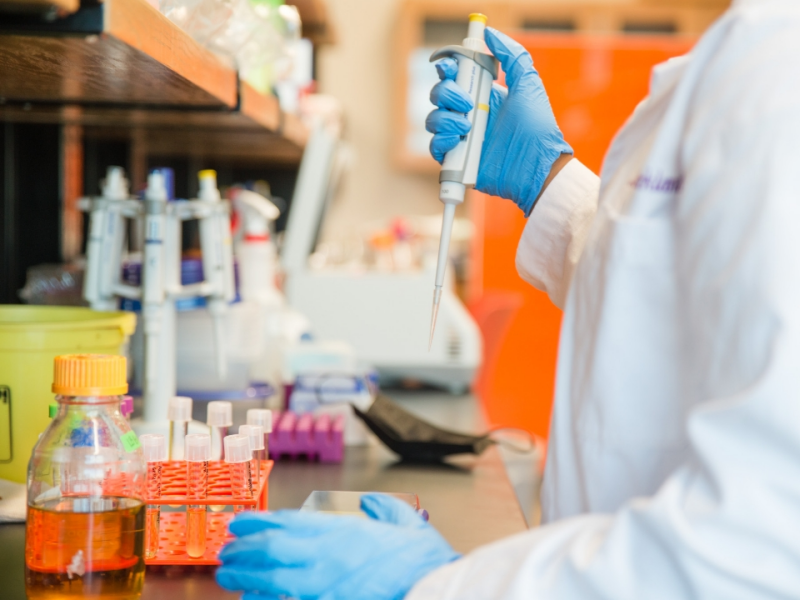 Quality Control Methods for Plant Wax Emulsions: Every Step To Ensure Excellent Products