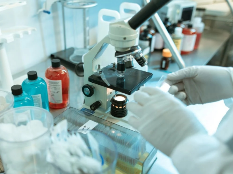 How To Choose High-quality Plant Wax Emulsion?