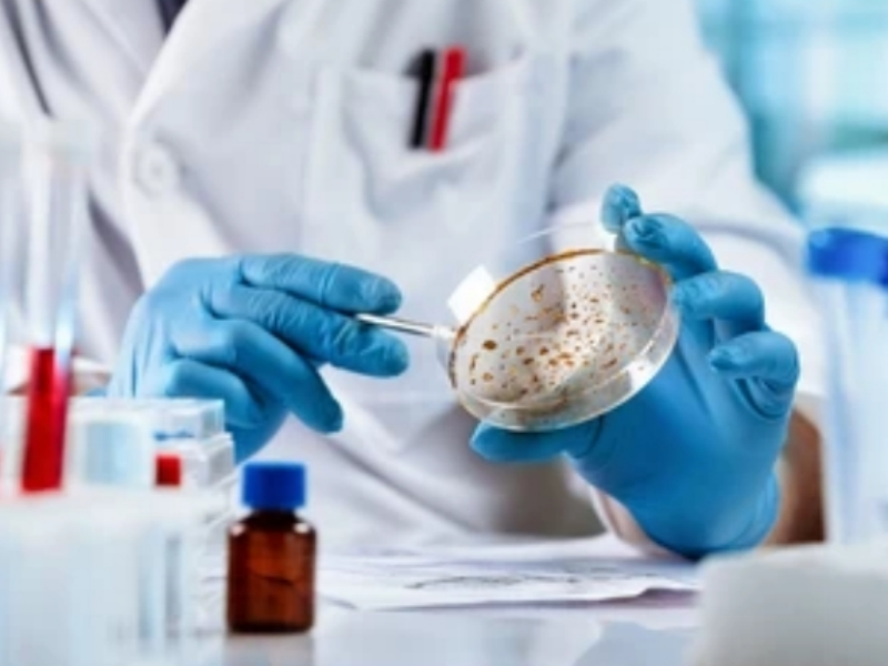 Application of Wax Microdispersion in Food Packaging